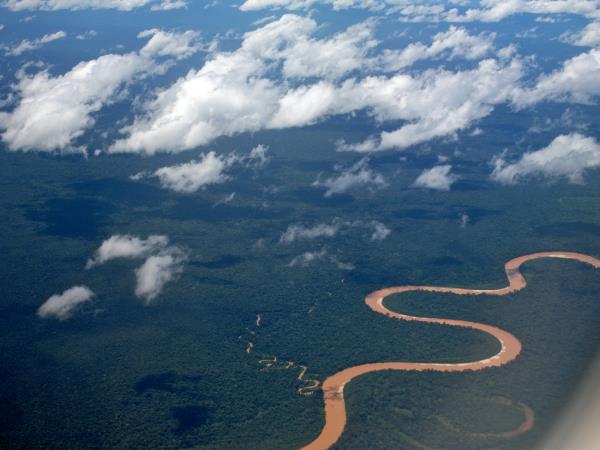 A vibrant macaw in flight against a sunrise backdrop