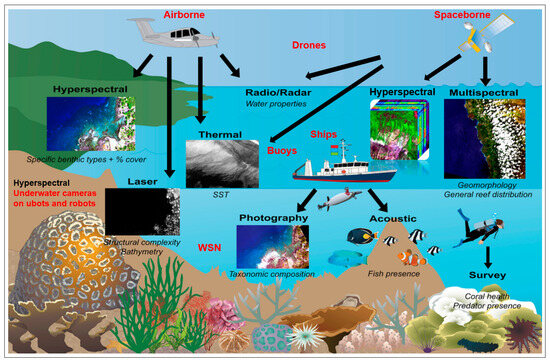 # Regenerative Beach Vacations: Witnessing Ocean C...