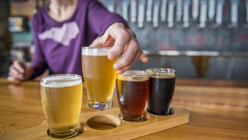 A selection of handcrafted chocolates at French Broad Chocolate Lounge