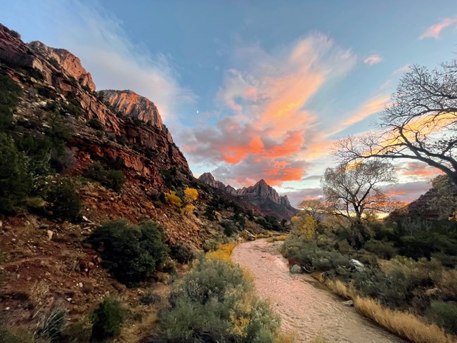 Zion National Park Sunset