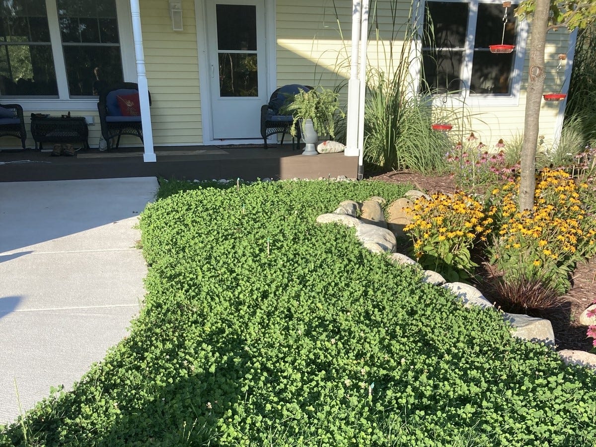 Buzzworthy Backyards: 5 Unexpected Ways to Attr...