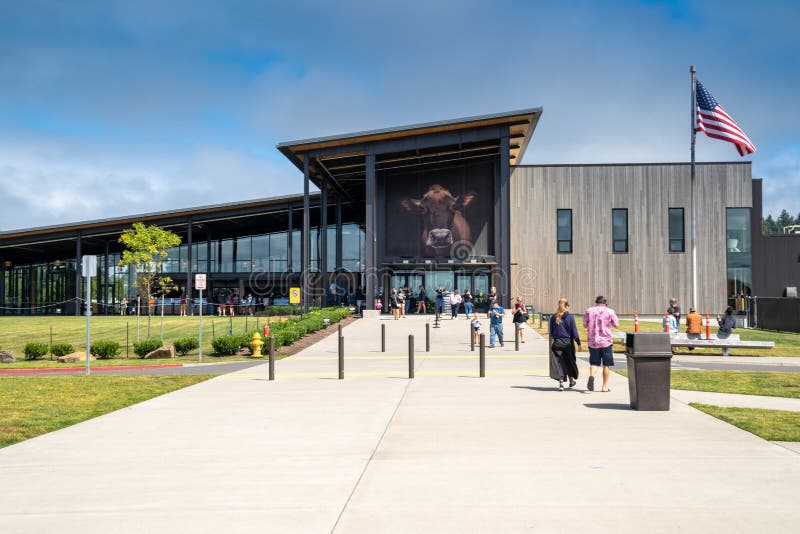 Fresh Dungeness Crab