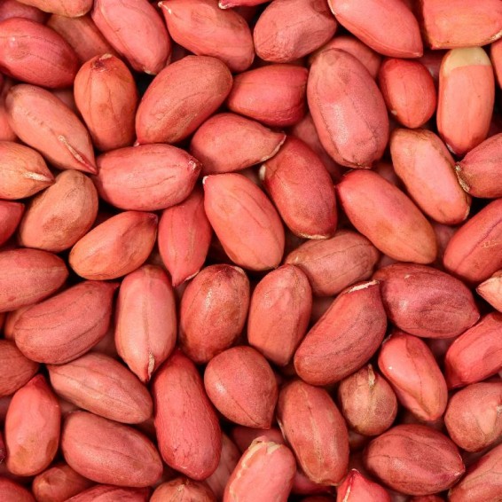 Sow the Seeds of Self-Sufficiency: Why DIY Seed...