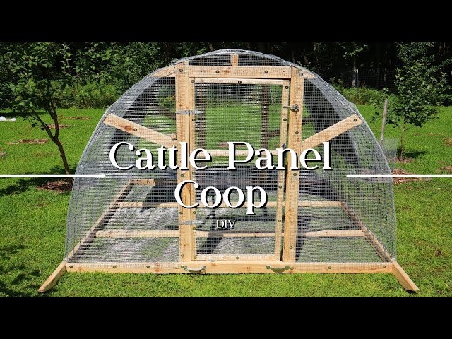 Yet another example of a simple chicken tractor design.