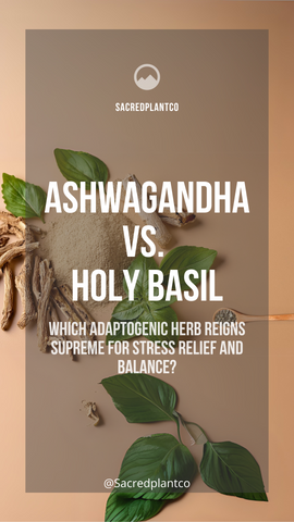 Infographic showcasing the benefits of adaptogens for stress relief