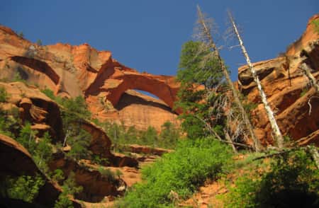 Sunrise over Zion Canyon as seen from the East Mesa Trail, marking the end of the Trans-Zion Trek. #TransZionTrek #ZionBackpacking #UtahAdventures