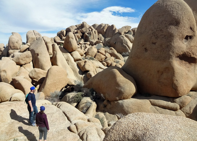 # Finding Solitude and Self-Discovery: A Solo Fema...