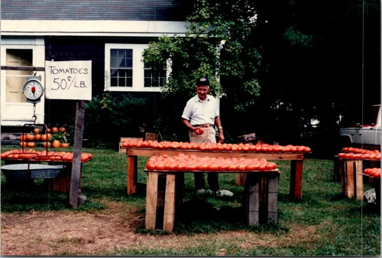 Fall tomatoes