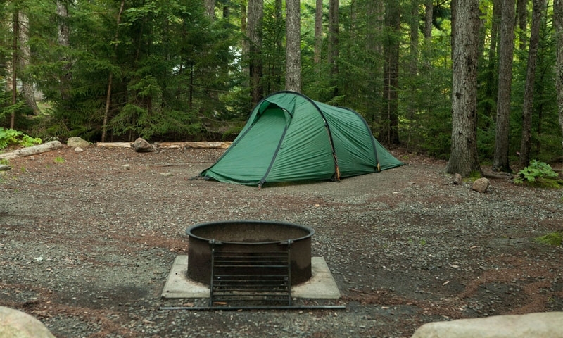 ## Acadia on a Budget: A Single Mom & Teen's Campi...