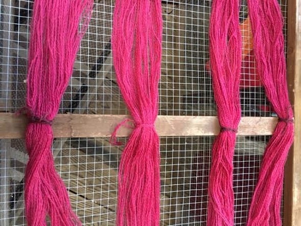 Unlock Hidden Colors: Naturally Dyeing Fabric w...
