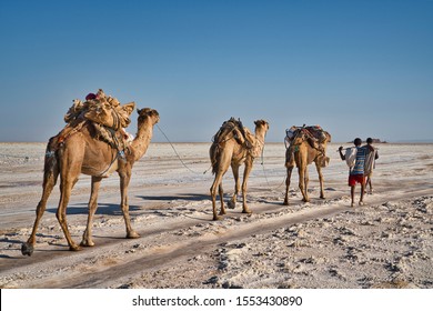 Ker Sangri Tasting Thar Desert