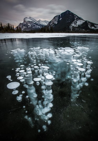 Methane ice bubbles in Lake Abraham