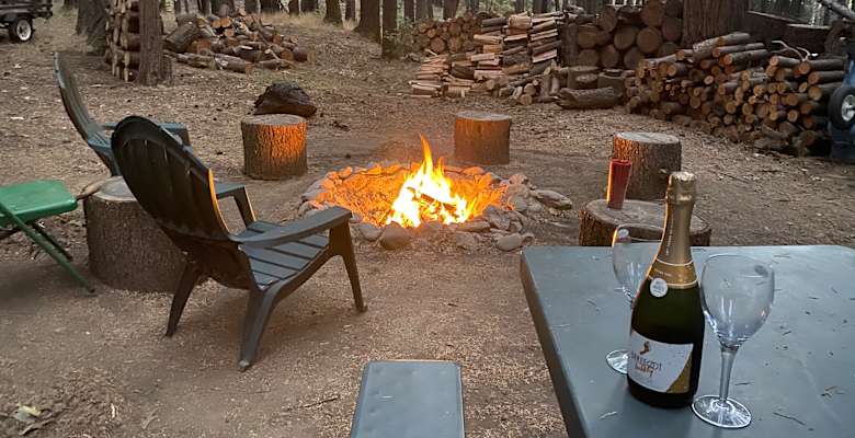 unplug for nature dogs and kids family dog cabin private 5 acres northern california