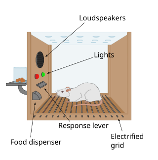 Diagram explaining the principles of operant conditioning in relation to video game loot boxes, simple visual style, text labels, clear and concise.
