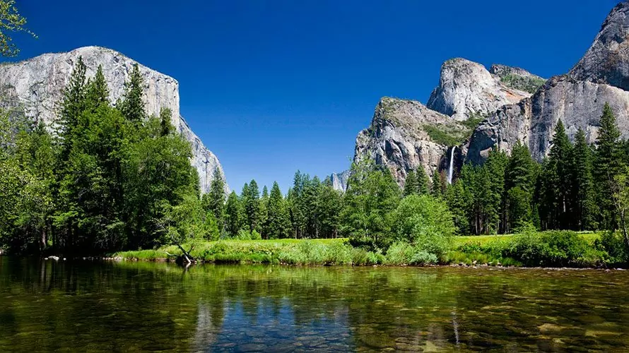 Hiking amidst the giant Sequoias in Yosemite National Park