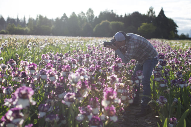 Grow Your Own Remedies: A Beginner's Guide to a...