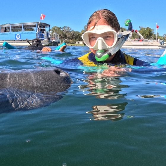 Families preparing for a snorkeling adventure with manatees in Crystal River.