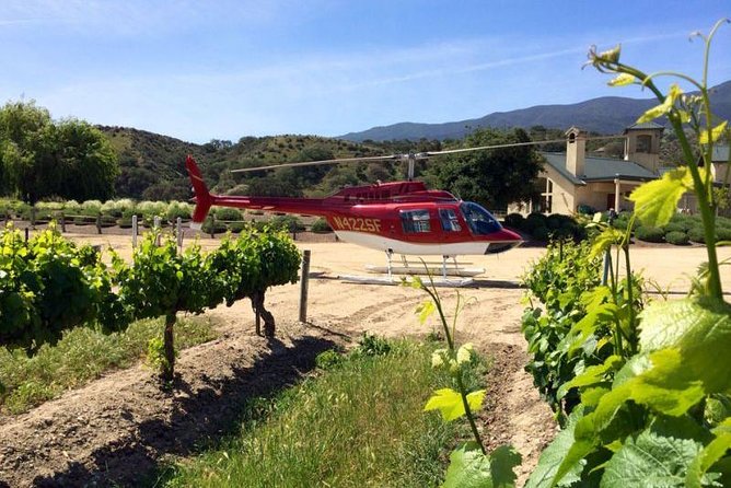 A table set for a gourmet meal outdoors, with fresh seafood, locally sourced vegetables, and wine. The scene overlooks the ocean, demonstrating best glamping Big Sur with farm to table dining.