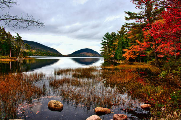 # Acadia in Autumn: A sensory explosion for the so...